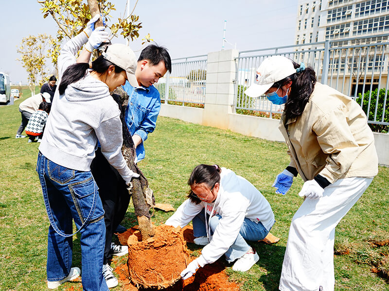 心系公益 生生不息 | 植绿护蓝，共筑生态家园的pa尊龙凯时力量
